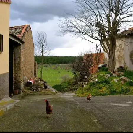 La Postal De Dali *